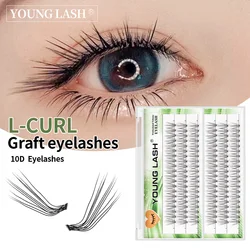 YOUNG LASH-extensiones de pestañas postizas 10D L Curl, maquillaje profesional, 60 grupos de pestañas personales en racimo