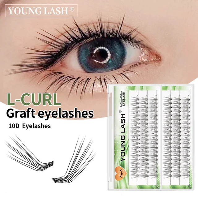 YOUNG LASH 10D L Curl Sztuczne rzęsy Przedłużanie Profesjonalny makijaż 60 klastrów Osobiste rzęsy klastry