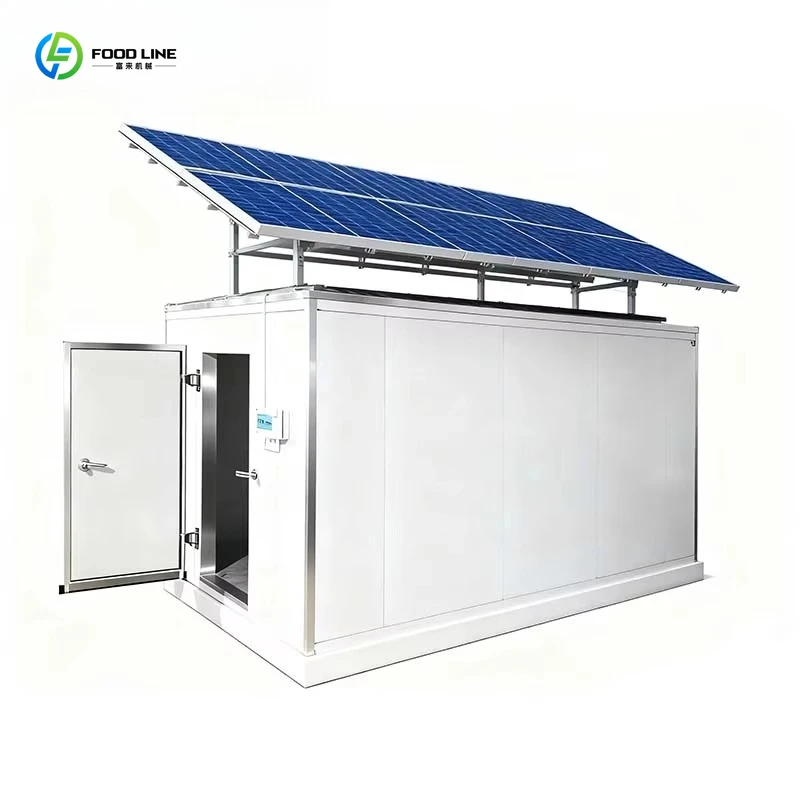 Customized Best Price Solar Refrigerated Containers From Chinese Manufacturers Fruit Freezer Storage