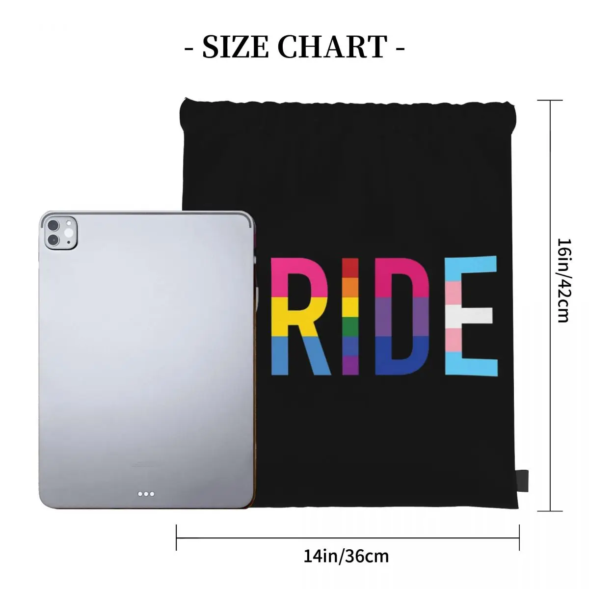 Pride, Various Queer Flags 1 Backpacks Multi-function Portable Drawstring Bags Shoes Bag Book Bags For Travel Students