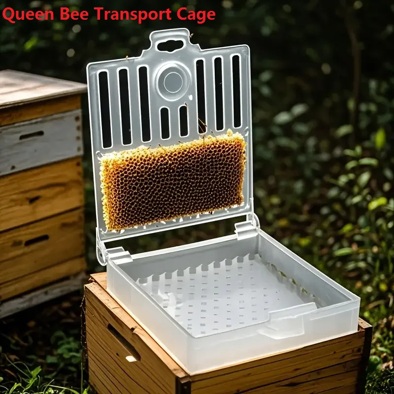 Queen Bee Post Cage Transparent Queen Bee Transport Cage Move Transmit Mail Box Queen Bee Catcher Cage Beekeeping Supplies