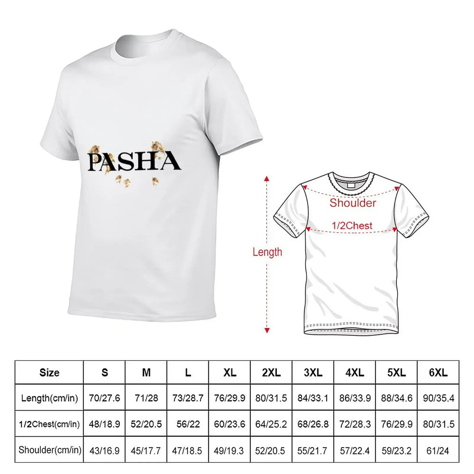 Pashanim Logo T-Shirt plus sizes cotton graphic tees boys whites sweat men clothings