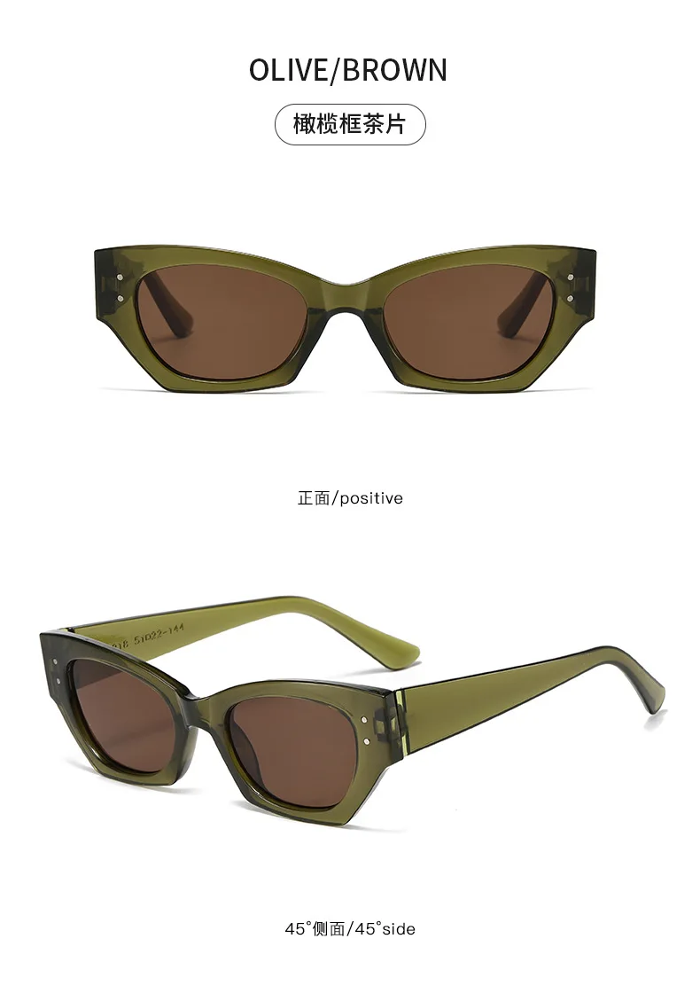 Vintage Kleine Niet Cat Eye Sonnenbrille Frauen Mode Marke Luxus Designer Polygon Sonnenbrille UV400 – Detail 16