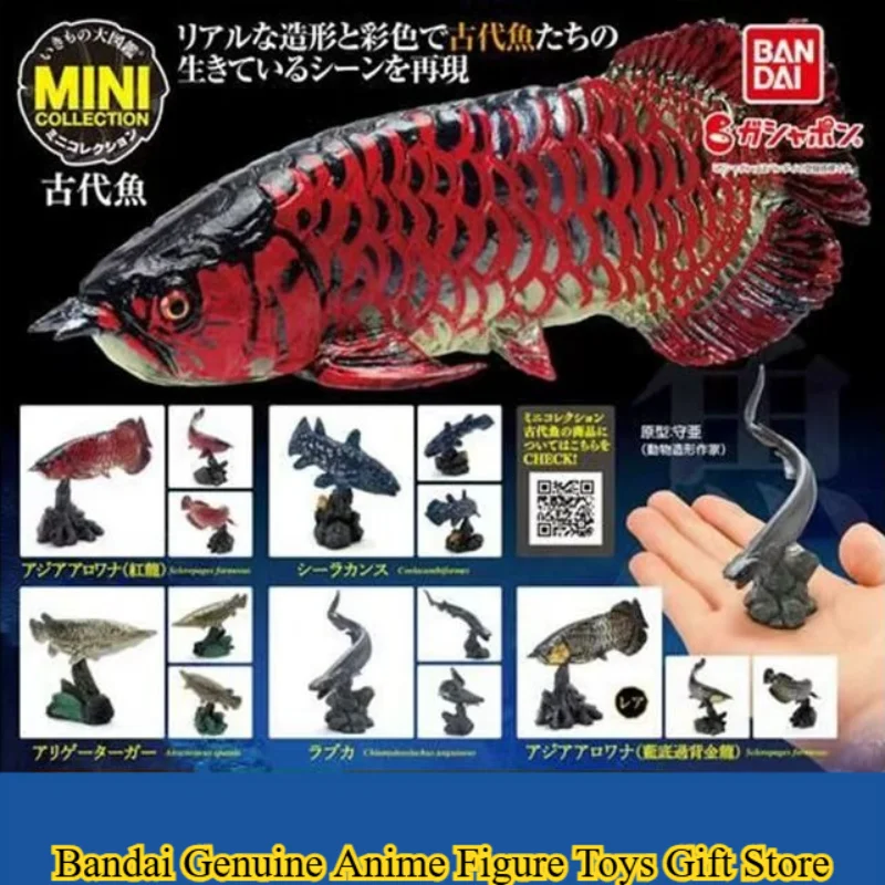 Bandai Original Gashapon Prehistoric Creatures Ancient Fish Mystery Box Toy  Anime Figure Statue Model Collection Decorate Toys - AliExpress 26