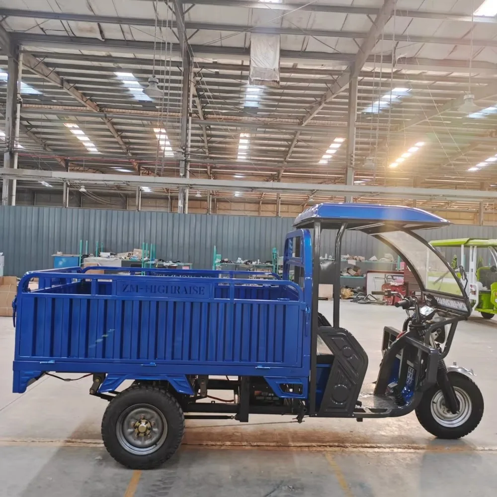 Electric Cargo Tuktuk Adult Open Body Three-Wheel Passenger Tricycle, Eco-Friendly City Commuter Vehicle view 3