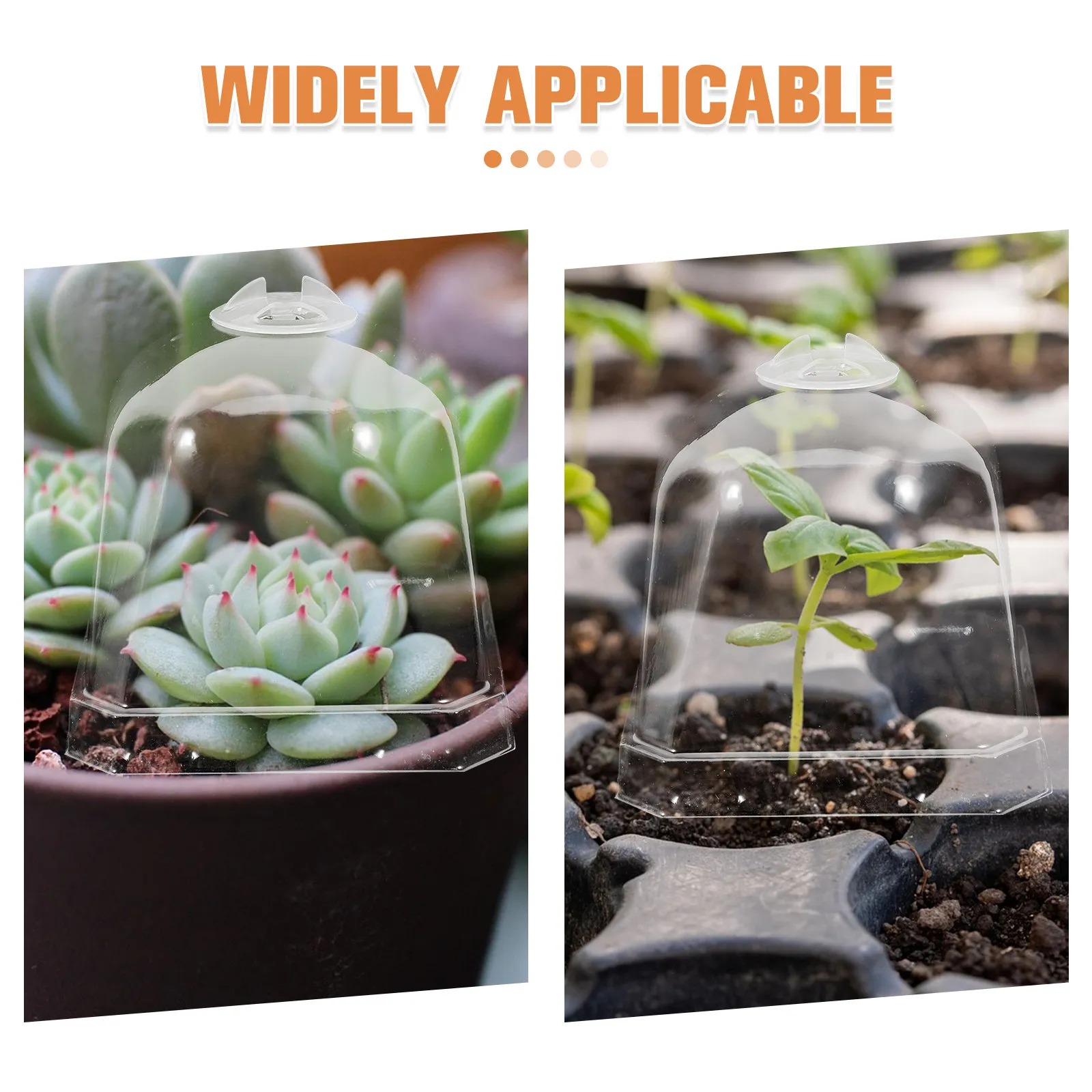 12Pcs Clear Square Plastic Pot Covers Succulent Plant Dome Garden Cloche Humidity Retention Protector Reusable