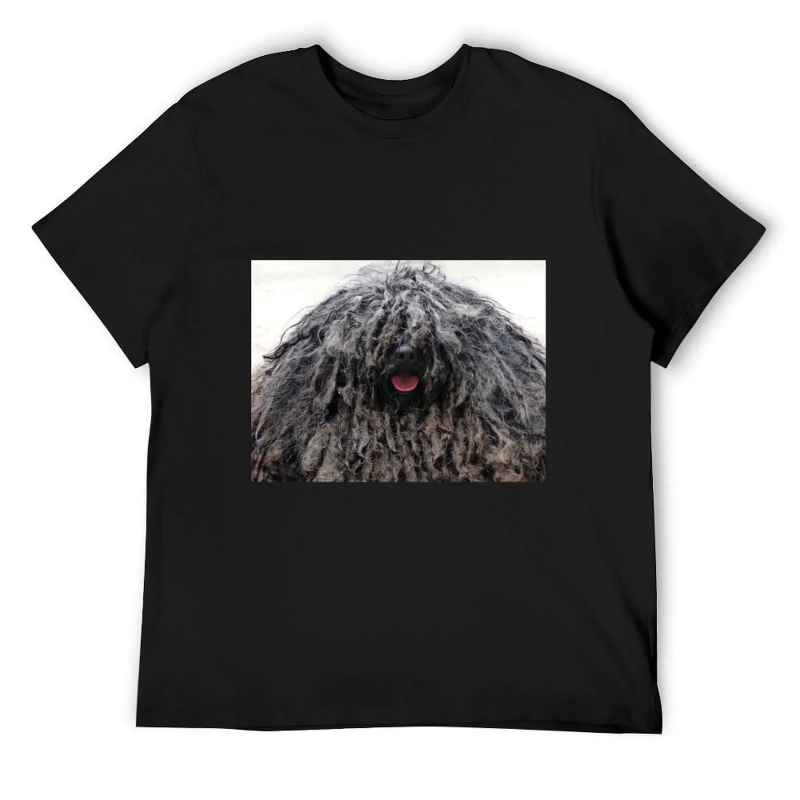 

Cool Shaggy Rasta Dog T-Shirt vintage anime shirt quick drying sports fans clothes for men