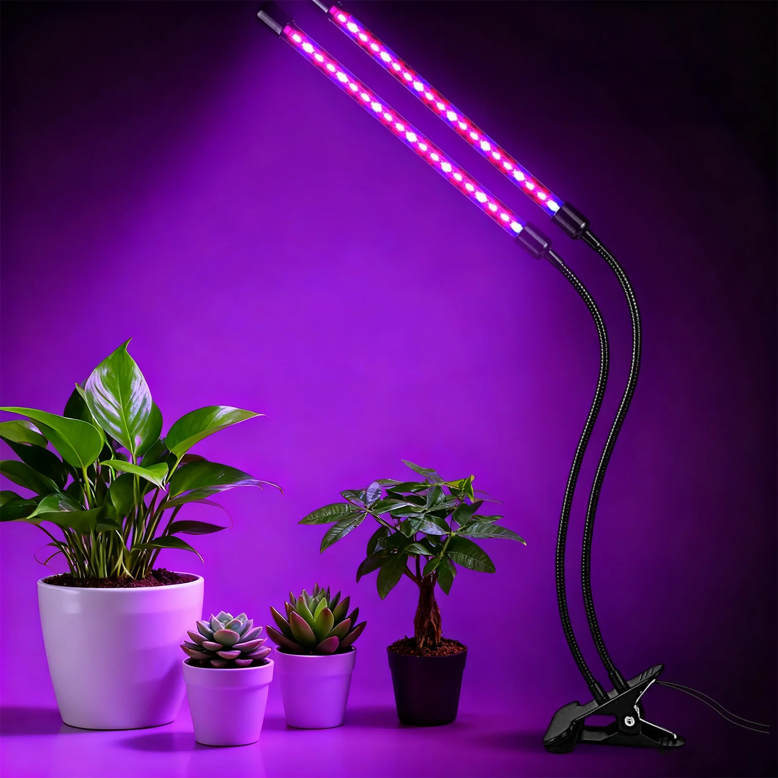 Grow Light Plant Light Indoor Plants, Full Spectrum Clip Plant Growing Lamp,10-Level Dimmable,3/9/12H Timer,Adjustable Gooseneck