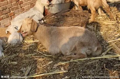 

Car Roof Sunshade For Peugeot 2008 A94 2014-2017 2018 Electrostatic Adsorption Sunroof Sunshade Skylight Blind Shading Sticker