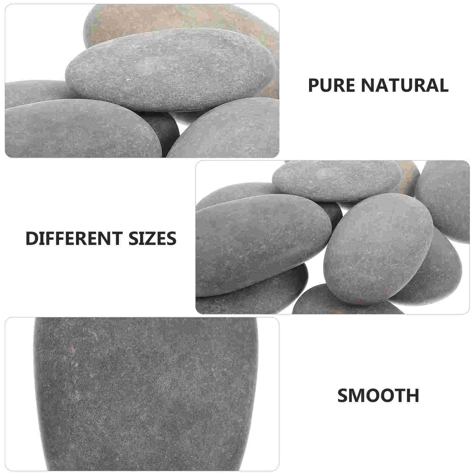 10 Pcs Creative Painting Stone Stones Painted Rocks Succulents Kids Natural for Drawing Craft Kids' Room Decoration with