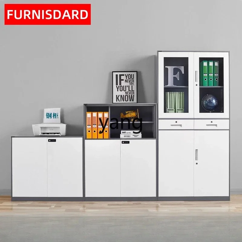Lhh Office Steel Documents Tea Cabinet Archives with Password Lock Iron Bookcase
