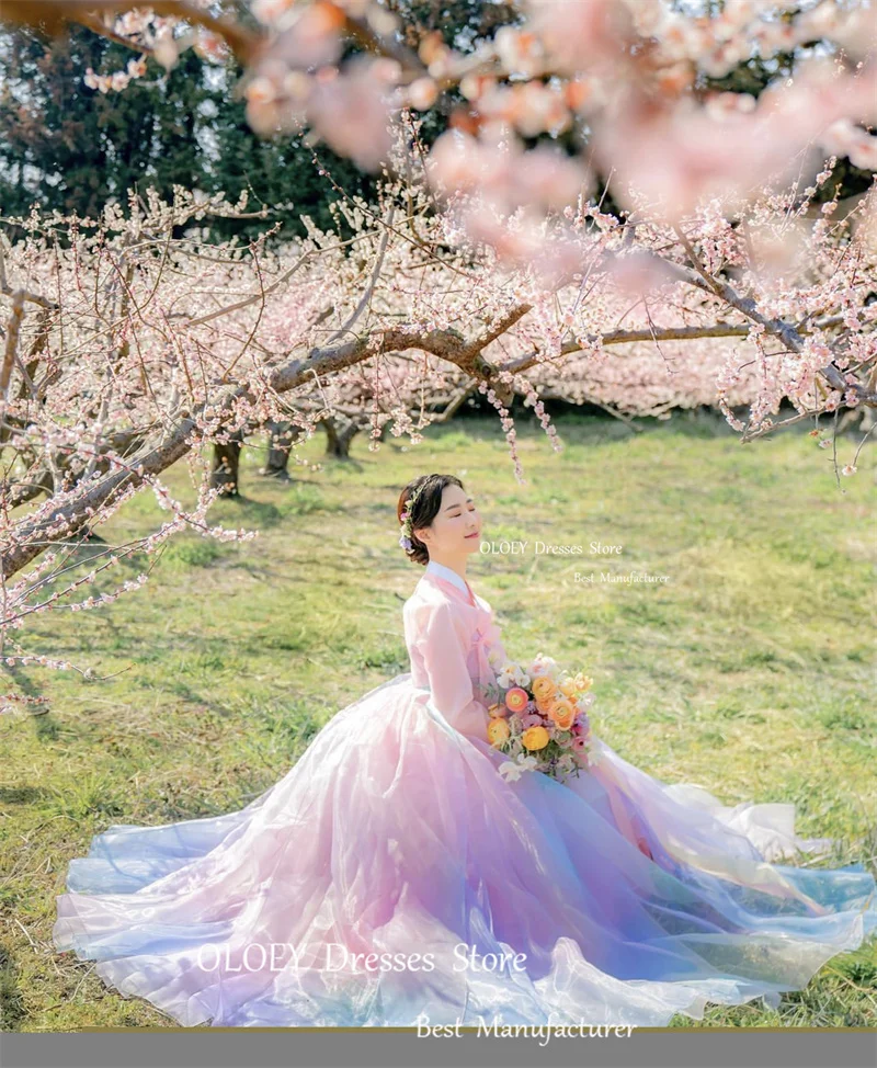 Oloey Korea Vrouwen Formele Outfit Jurken Regenboog Tule Lange Mouwen Paars Roze Fee Avondjurken Fotoshoot Op Maat Gemaakt