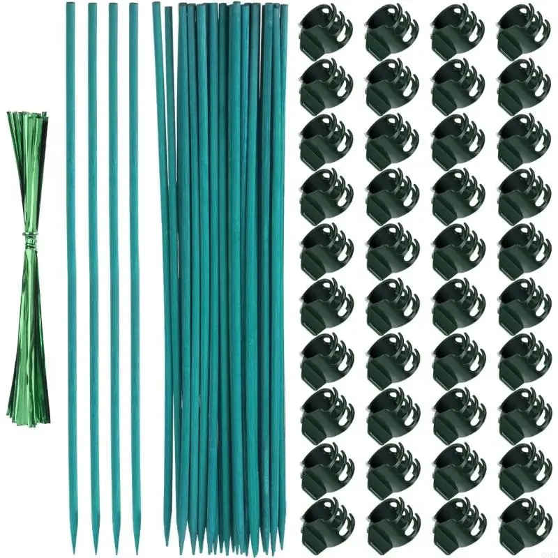 

Regulable Plastic Plant Support Stake for Vine Growth Stable Garden Stake