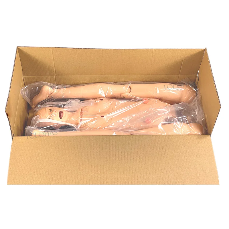 

2026 LHN014A Multifunctional Medical Training Female Male Manikin Teaching Model Combination Nursing Manikin