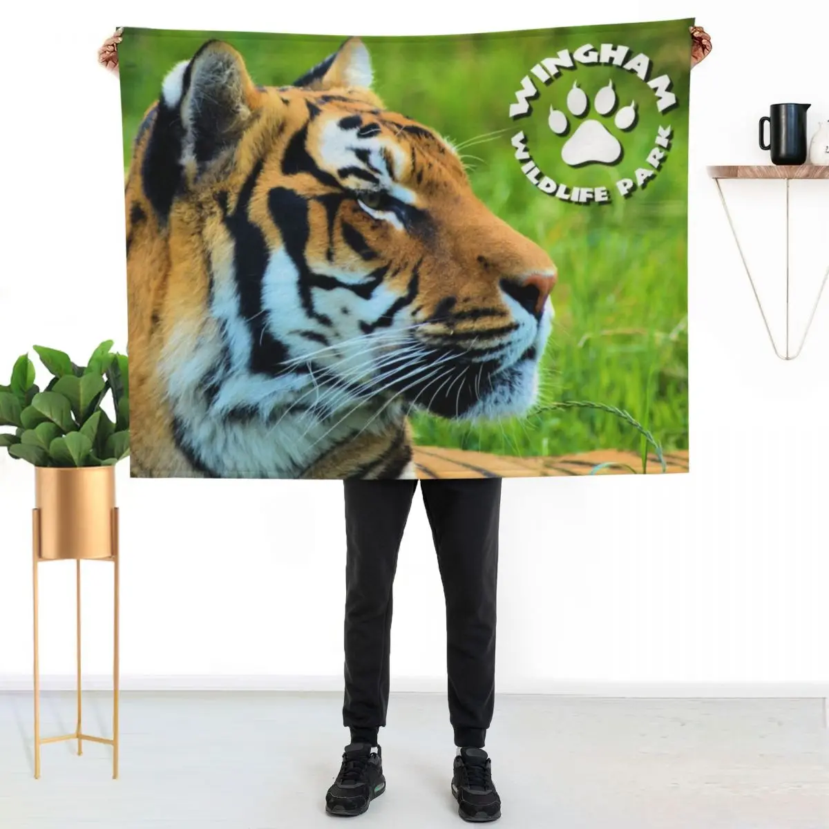 

The princes of Wingham Throw Blanket Ultra Soft Flannel Fleece Blanket for All Seasons