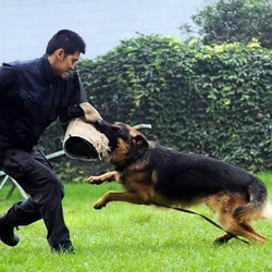 Dog Training Protective Equipment ,Dog Trainer Professional Tools ,Hemp Sleeve Biting Target ,Working Dog Training Bite Sleeve