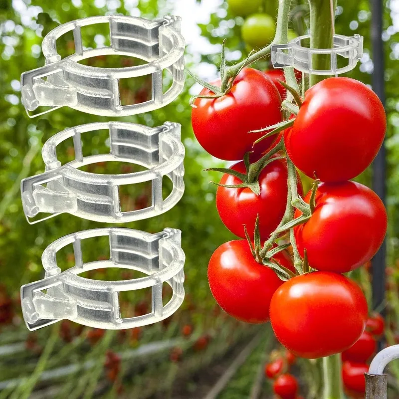 Clips de Support de Plantes en Plastique Réutilisables, Connecteurs de Vigne, FiosphClips de Protection, Greffe pour Jardin, Légume, Tomate, 200 Pièces