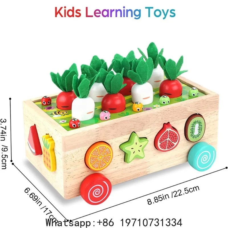 Toddlers Montessori Wooden Multifunction Educational Toys for Baby Childeren's Shape Sorting Toys Preschool Shape match Toy view 3