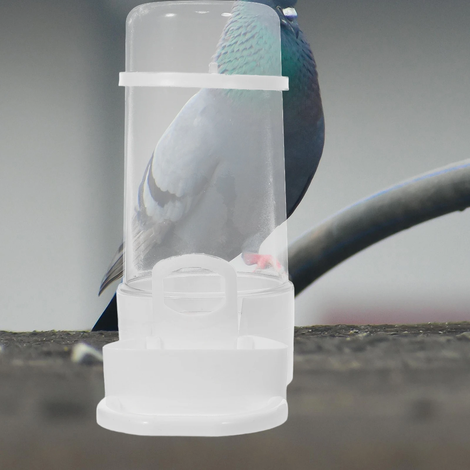 

Automatic Parrot Water Dispenser Large Capacity Bird Drinking Fountain Bottles Easy Installation Pet Accessories