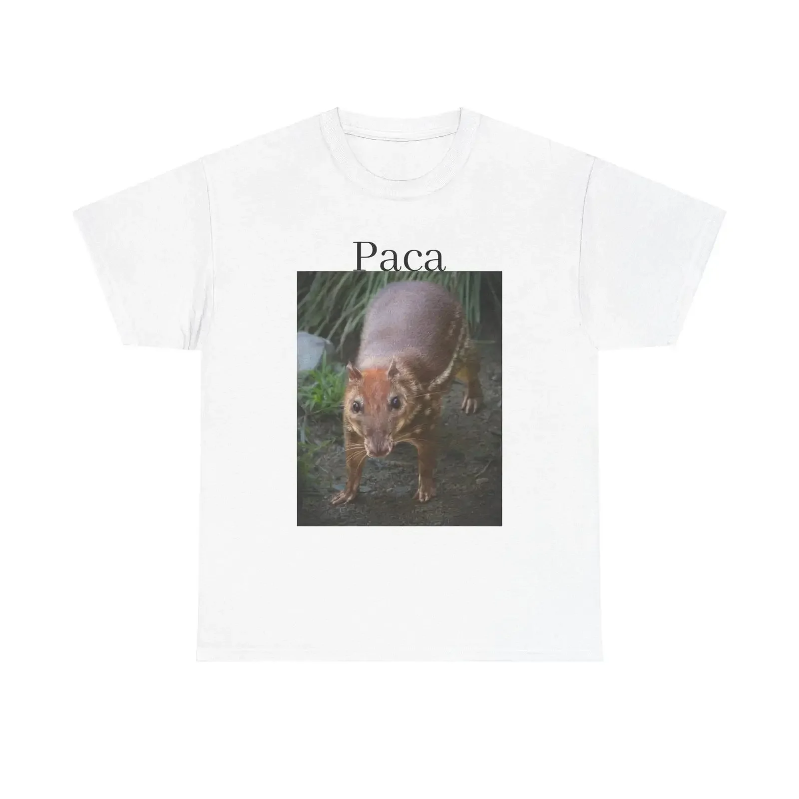 Camiseta Paca con estampado de vida silvestre de América Latina, estilo vintage lavado, para uso diario, gráfico, elástica, estilo streetwear.