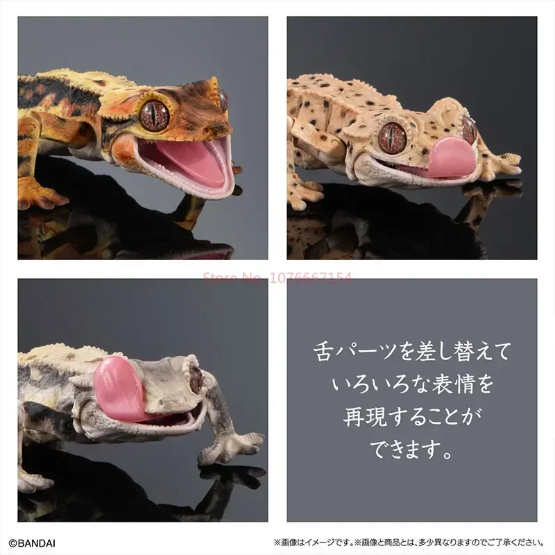 Bandai Genuine Gashapon Big Biological Map Gecko Lizard Blue-Tongued Skink Simulation Movable Action Figure Collectible Toy