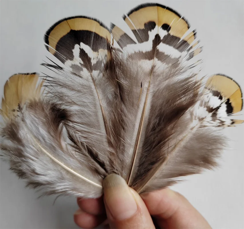 Plume Decoration!100pcs/Lot! 6-9CM Nature Reeves Pheasant Body Plumage Feathers for Costume,Plumas Por Lote,Natural Feathers