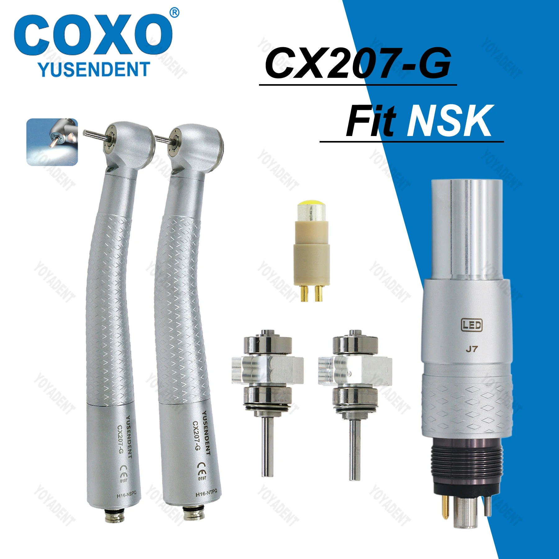 

COXO CX207 Dental LED Handpiece Fiber Optic High Speed Turbines Air Rotor Standard/Torque Head Coupler 6 Pin Fit NSK CX207-G H16