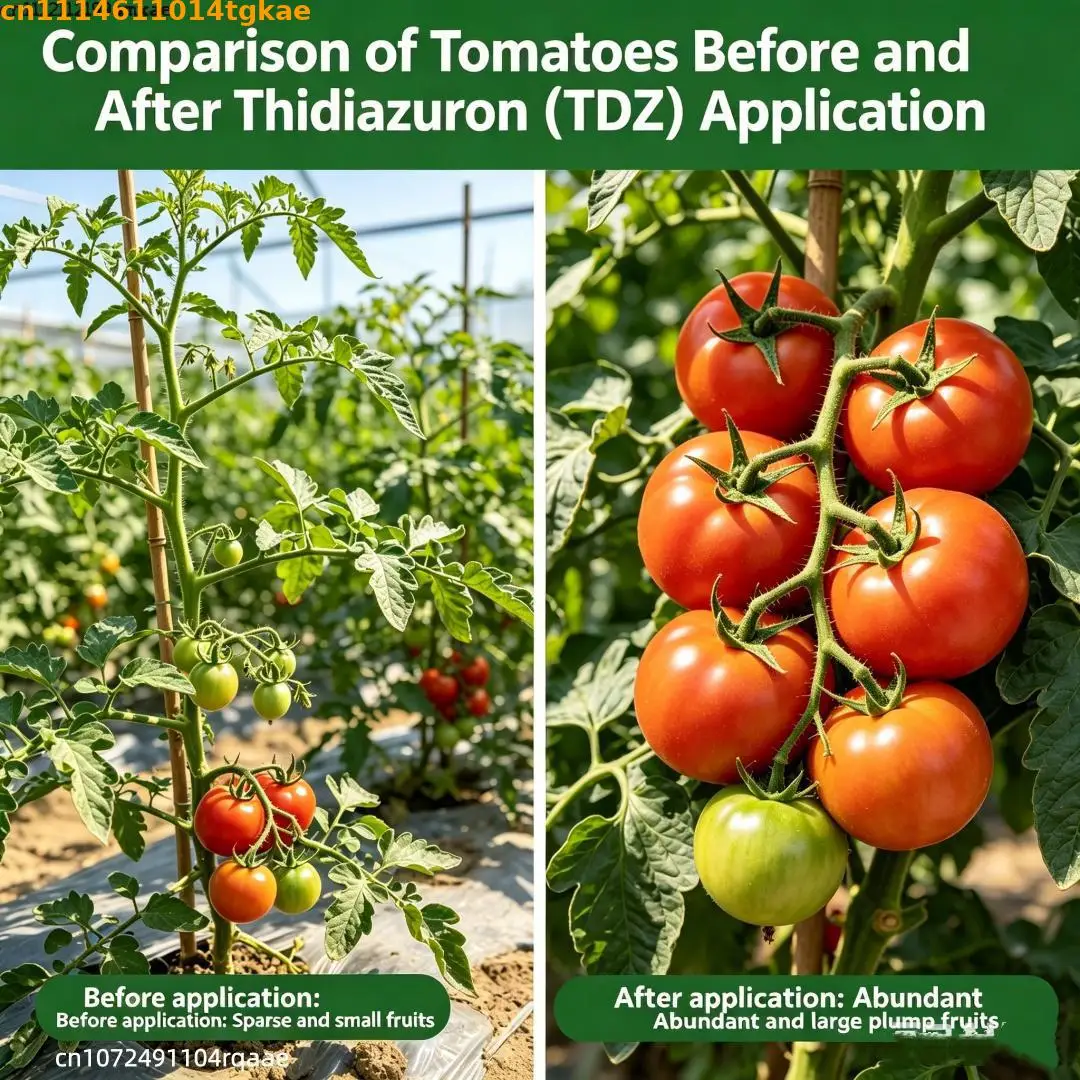 Root Health and Bloom Performance for Home Garden & Ornamental Plants Thidiazuron (TDZ) Plant Care Additive