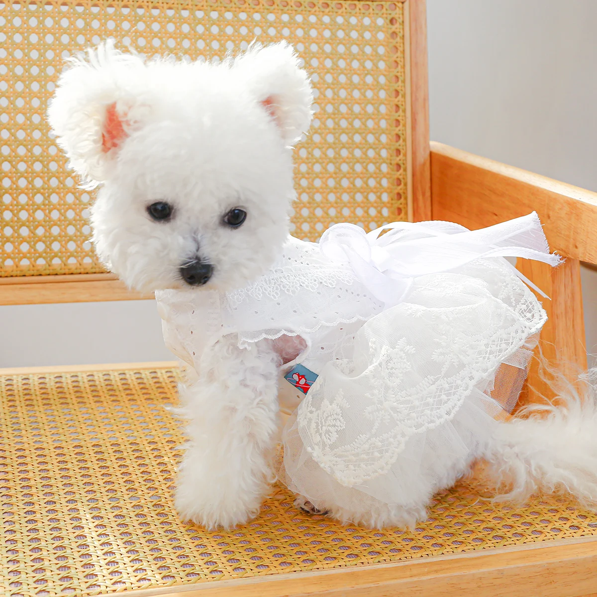 1PC Pet Clothing Cat and Dog Spring/Summer Thin White Wedding Princess Dress Suitable for Small and Medium sized Dogs