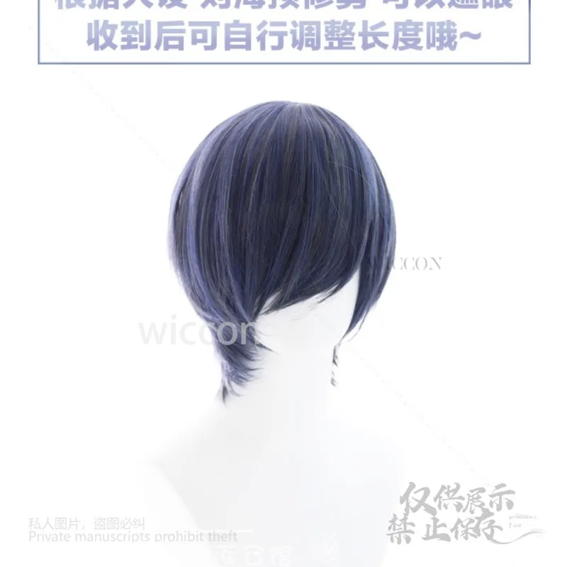 Anime Ciel Phantomhive Cosplay 2-Styles Wigs Blue Grey Long Short Heat Resistant Hair Blinder Halloween Carnival Party Women Men