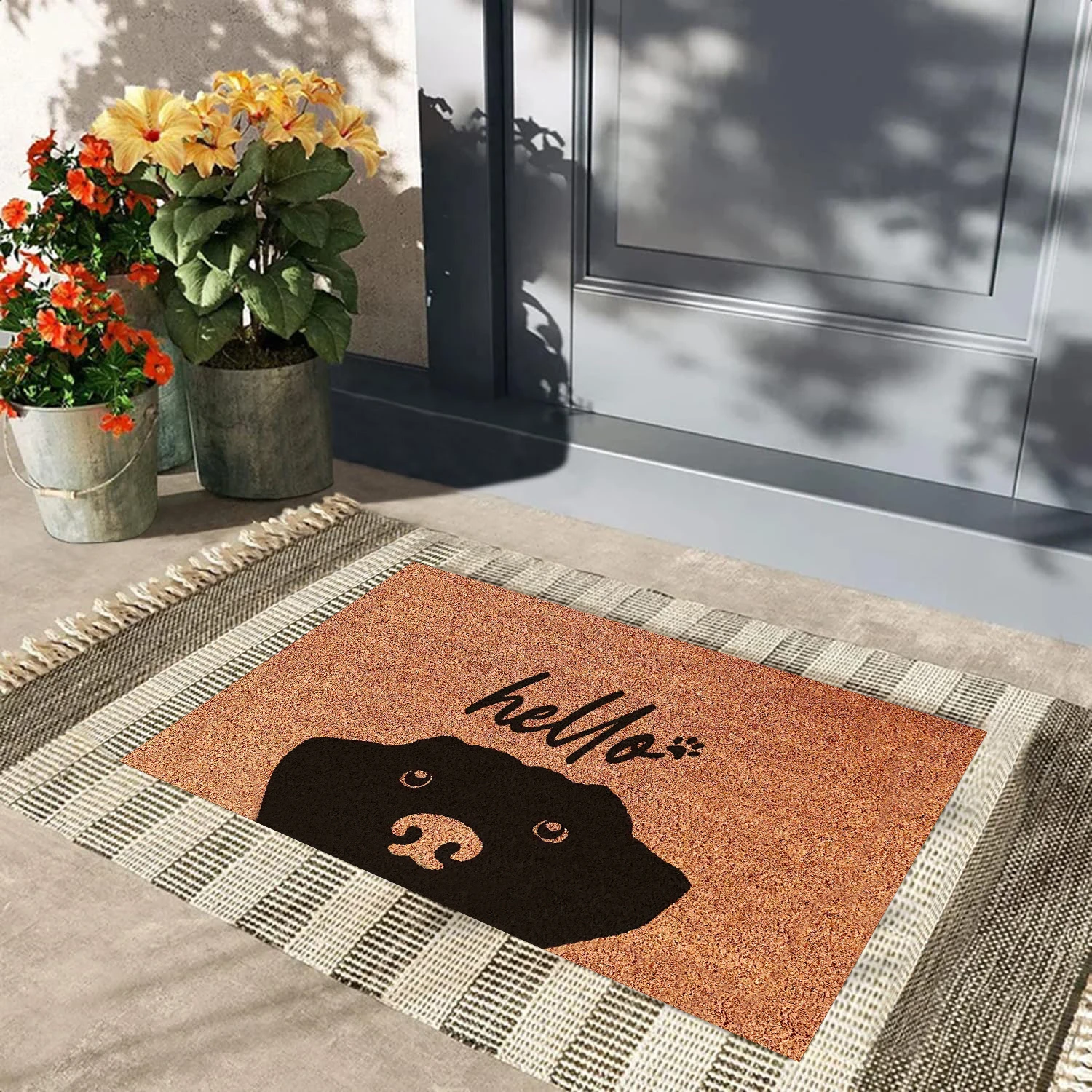 

Dog Lover Gift Dog Owner Doormat for Entrance Indoor Front Porch Decor Rugs with Anti-Slip Rubber Back,Funny Floor Mat