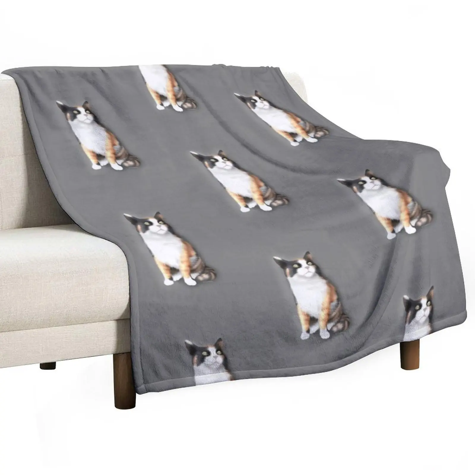 Calico Cat Throw Blanket Loose Cute Plaid Travel Retros For Sofa Thin Custom Blankets