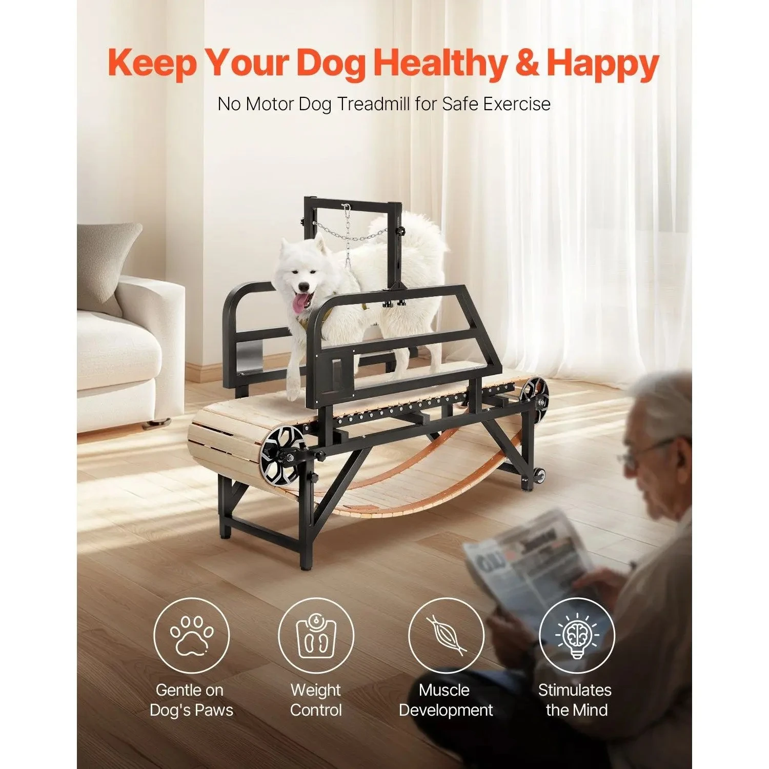 Indoor Pet Treadmill Dog Treadmill Suitable for Medium Dogs Up to 220 Lbs Training Supplies