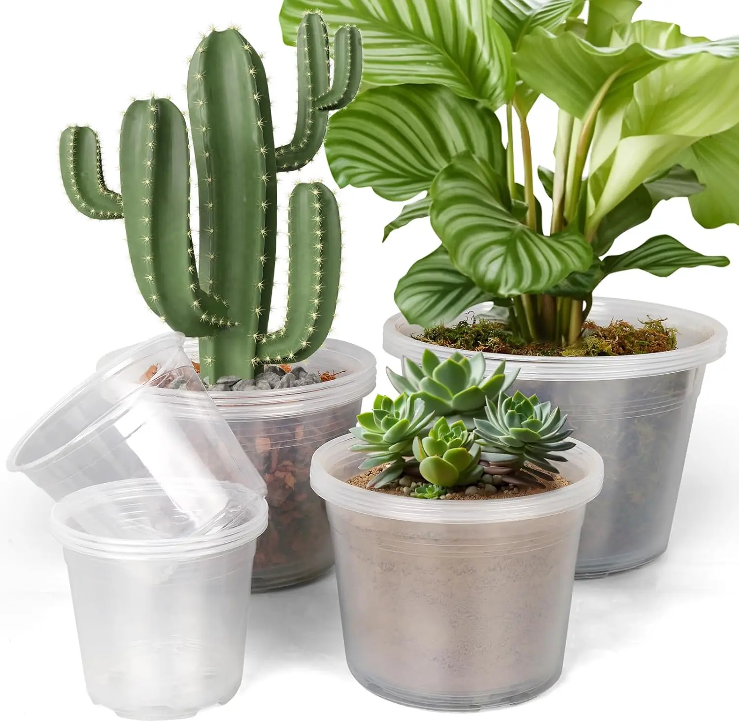 

Большие прозрачные пластиковые горшки для растений с дренажем, размеры 6/8/10/12 дюймов, 16 штук в упаковке, для суккулентов и овощей