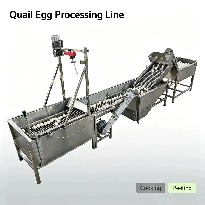 Egg Packaging Production Line Quail Egg Sheller Production Line Pasteurizer Equipment FL Customized