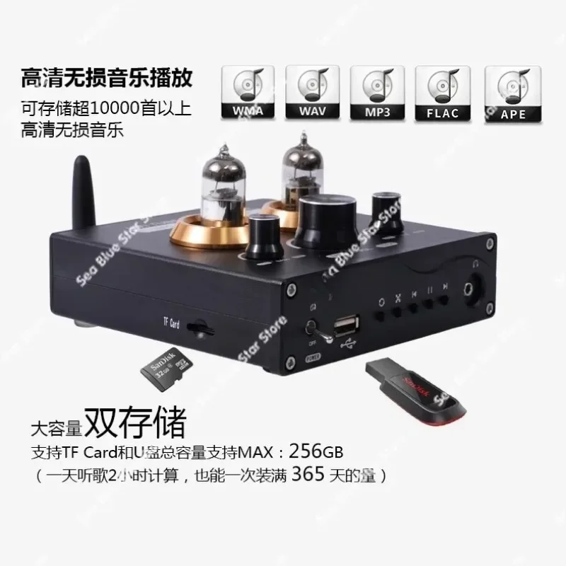 Lossless Player Pre-Audio Amplifier Headphone Amplifier Bluetooth 5.0 Audiophile Grade Vacuum Tube Pre-stage U Disk TF Card