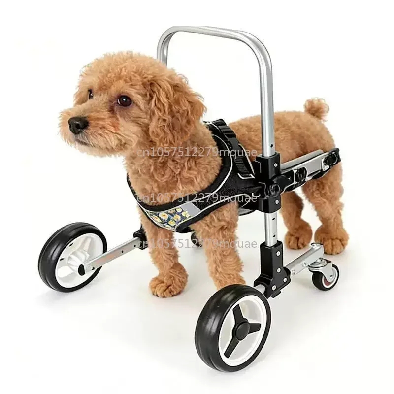 

Инвалидная коляска Forelimb для собак, маленькая и средняя инвалидная коляска, мобильность, легкая помощь для собак