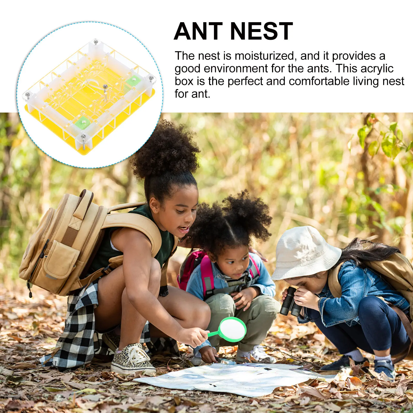 1Set Acrylic Ant Nest Ecological Living Box Ant Breeding Space Transparent Observation Case Science Experiment Gift