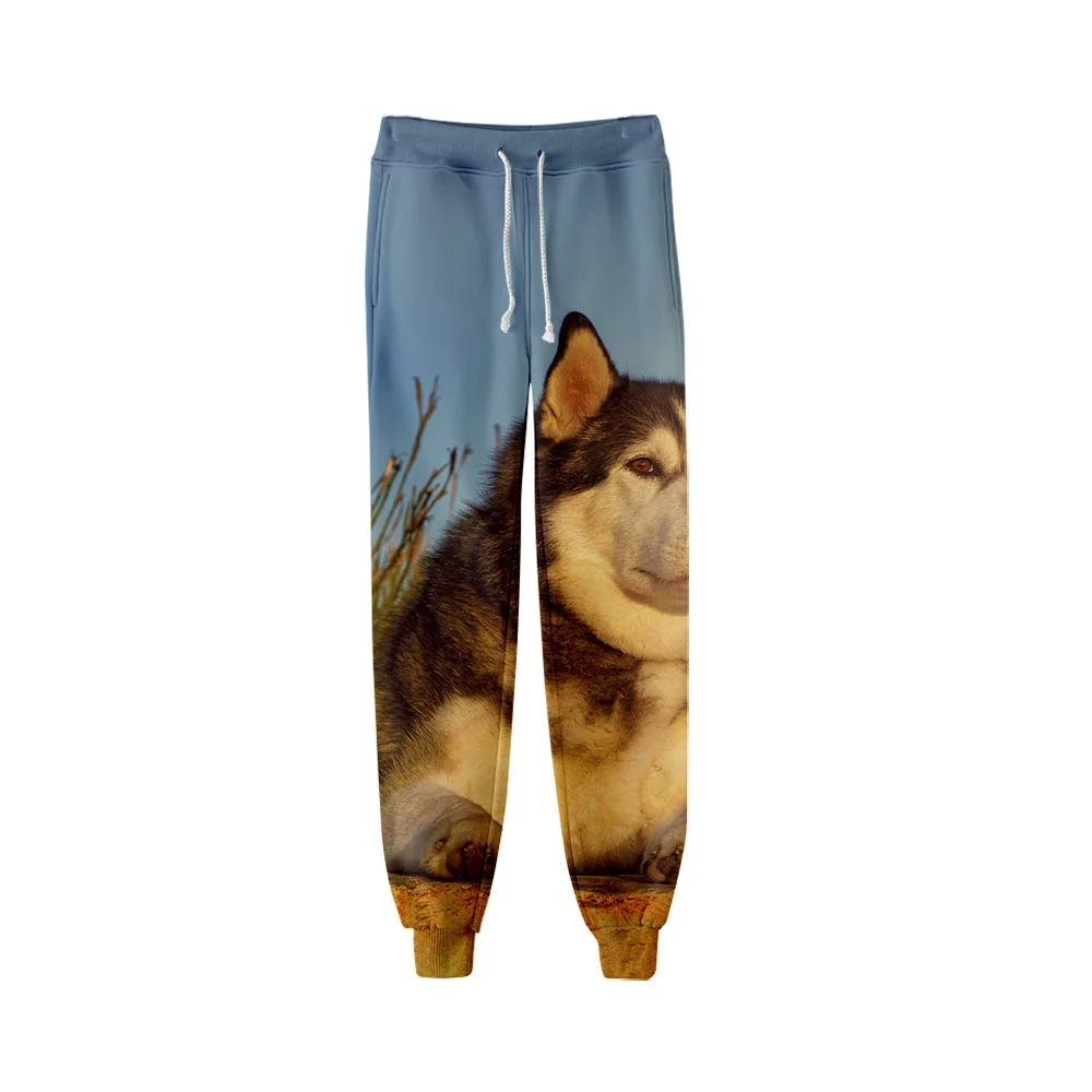 Husky animal cão moletom masculino, calças Y2k, corredores impressão 3D, calças de golfe casual, hip hop esportivo, streetwear