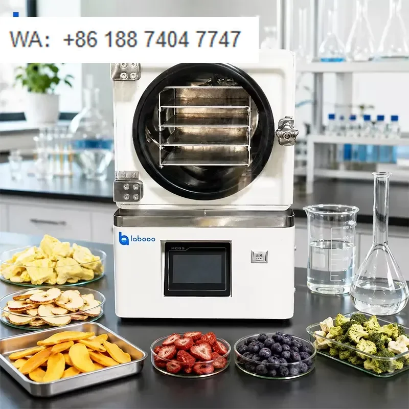 LABOAO Benchtop Mini Vacuum Freeze Dryer with Built-in Pump Compact Lyophilizer for Lab Home Use Efficient Moisture Removal