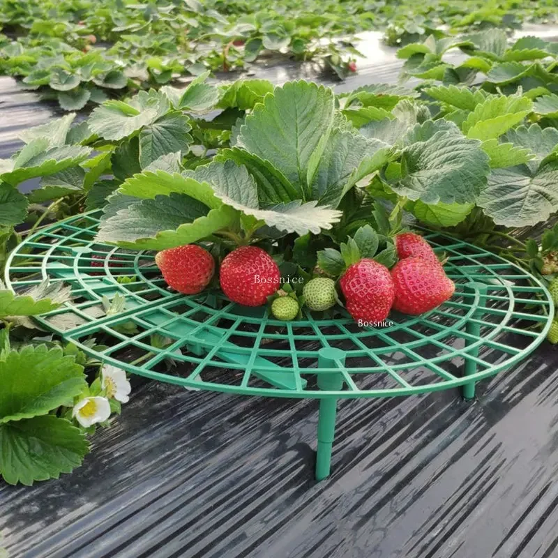 Strawberry Supports Keeping Plant Fruit Stand Vegetable Growing Rack Garden Tools for Protecting Vines and Avoid Contact Ground