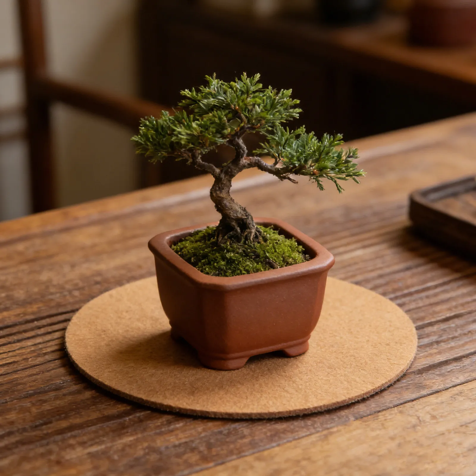 Double-Sided Absorbent Plant Pot Mat Water-Absorbing Non-Slip Thick Cushion Tray for Indoor Outdoor Garden Flower Pot Protection