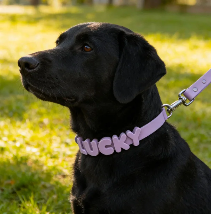 Custom DIY Silicone Pet Name Letters Colorful Removable Alphabet Charms for Dog Cat Collars Personalized Pet Accessories
