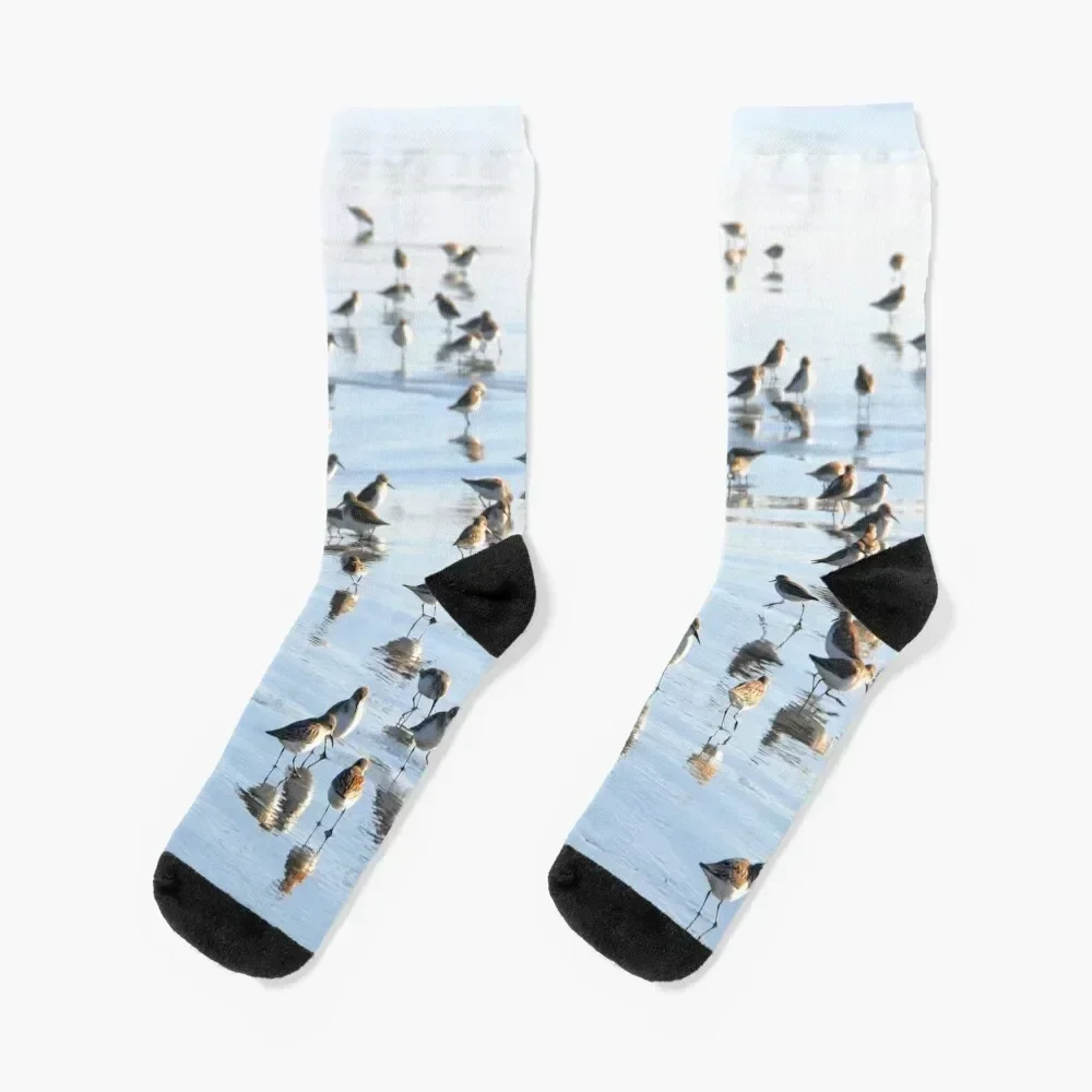 

Shorebirds Socks halloween anti-slip luxe professional running Man Socks Women's