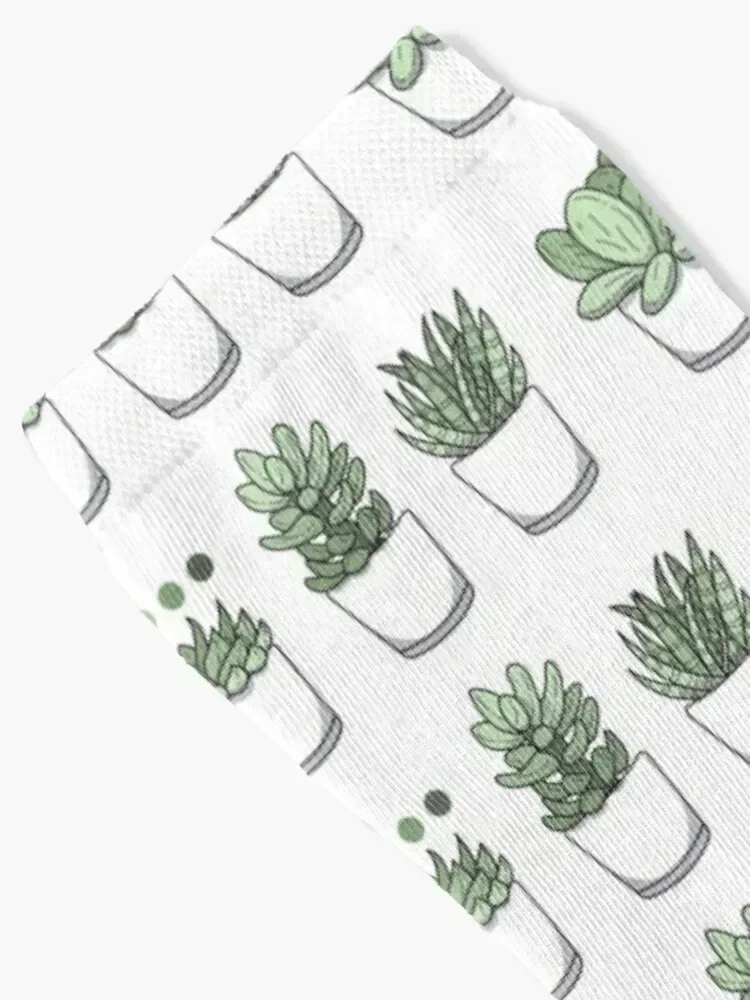 Tiny Potted Succulents and Gradient Socks Argentina kawaii funny sock christmas stocking Ladies Socks Men's