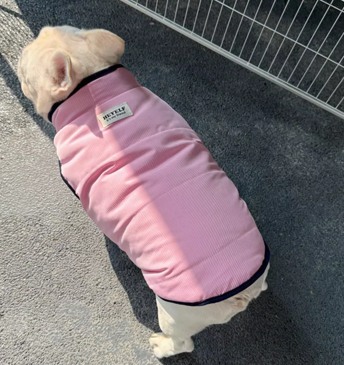 Roupas acolchoadas para cachorros e gatos, jaqueta quente de inverno para cães pequenos, colete chihuahua, buldogue francês, roupas yorkie