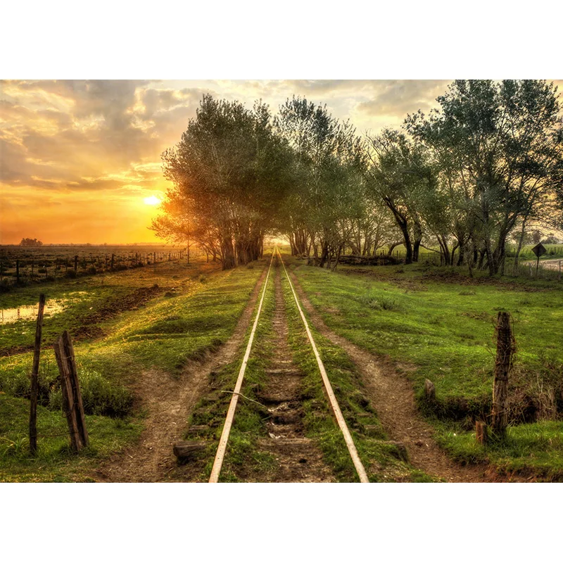 SHENGYONGBAO Art Fabric Train Track Landscape Photography background Portrait Photo Background Studio Props  211015 HCGD-02