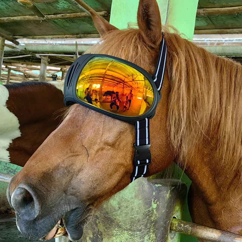 Horse Goggles UV Protection Windproof Equestrian Equipment Eye Mask Cover Horse Riding Sunscreen Glasses Pet Sun Glasses