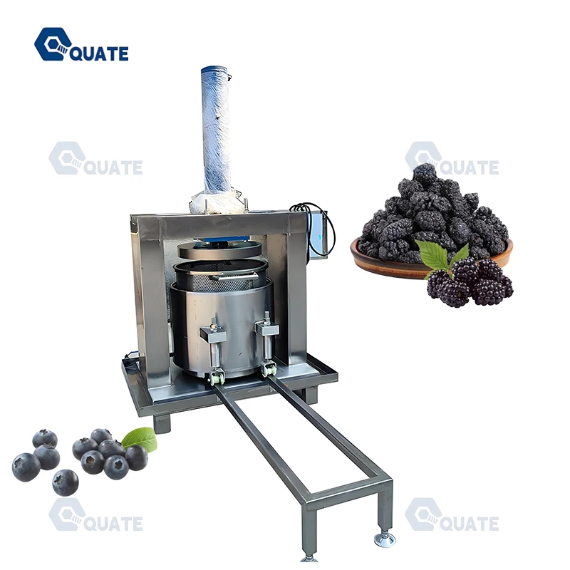 Industrial Stainless Steel Hydraulic Automatic Fruit Cider Pure Juicer Hydraulic Grape Juice Wine Cold Press Machine for Juice
