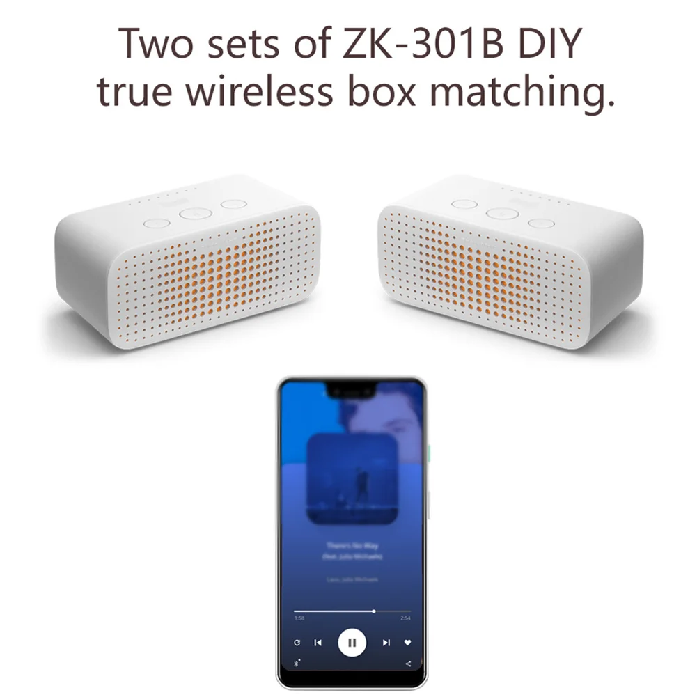 ZK-301B Mono 30W Au…